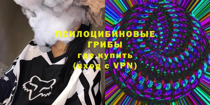 Галлюциногенные грибы Cubensis  Ялуторовск 